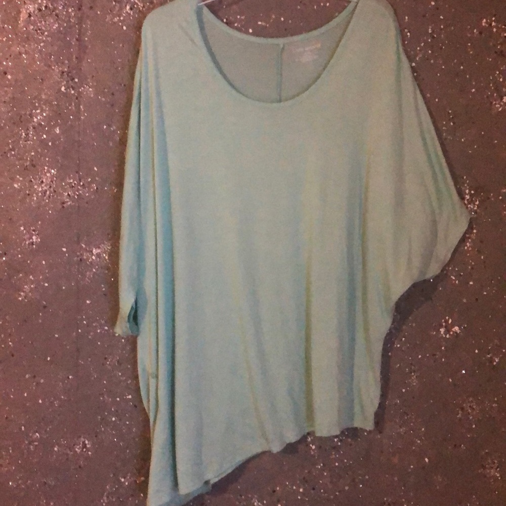 Lane Bryant top